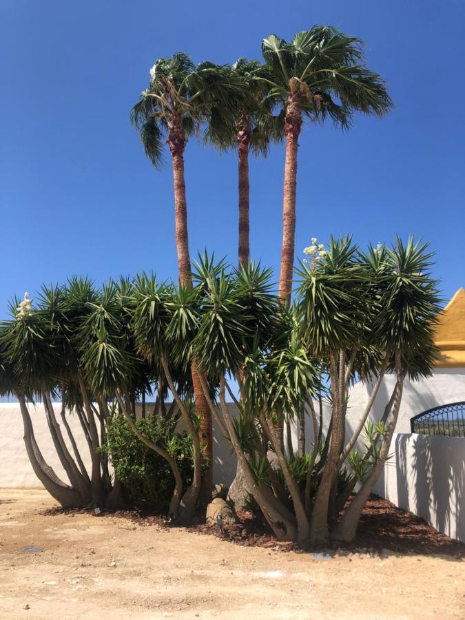 Hacienda Soto-Hego Haizea Chiclana de la Frontera Exteriör bild